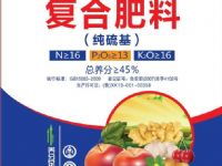 点击查看详细信息<br>标题：复合肥料 阅读次数：3842
