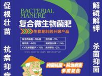 点击查看详细信息<br>标题：复合微生物菌肥 阅读次数：3930